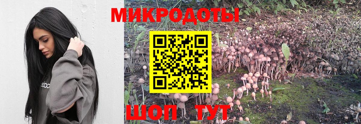 Псилоцибиновые грибы мухоморы Егорьевск